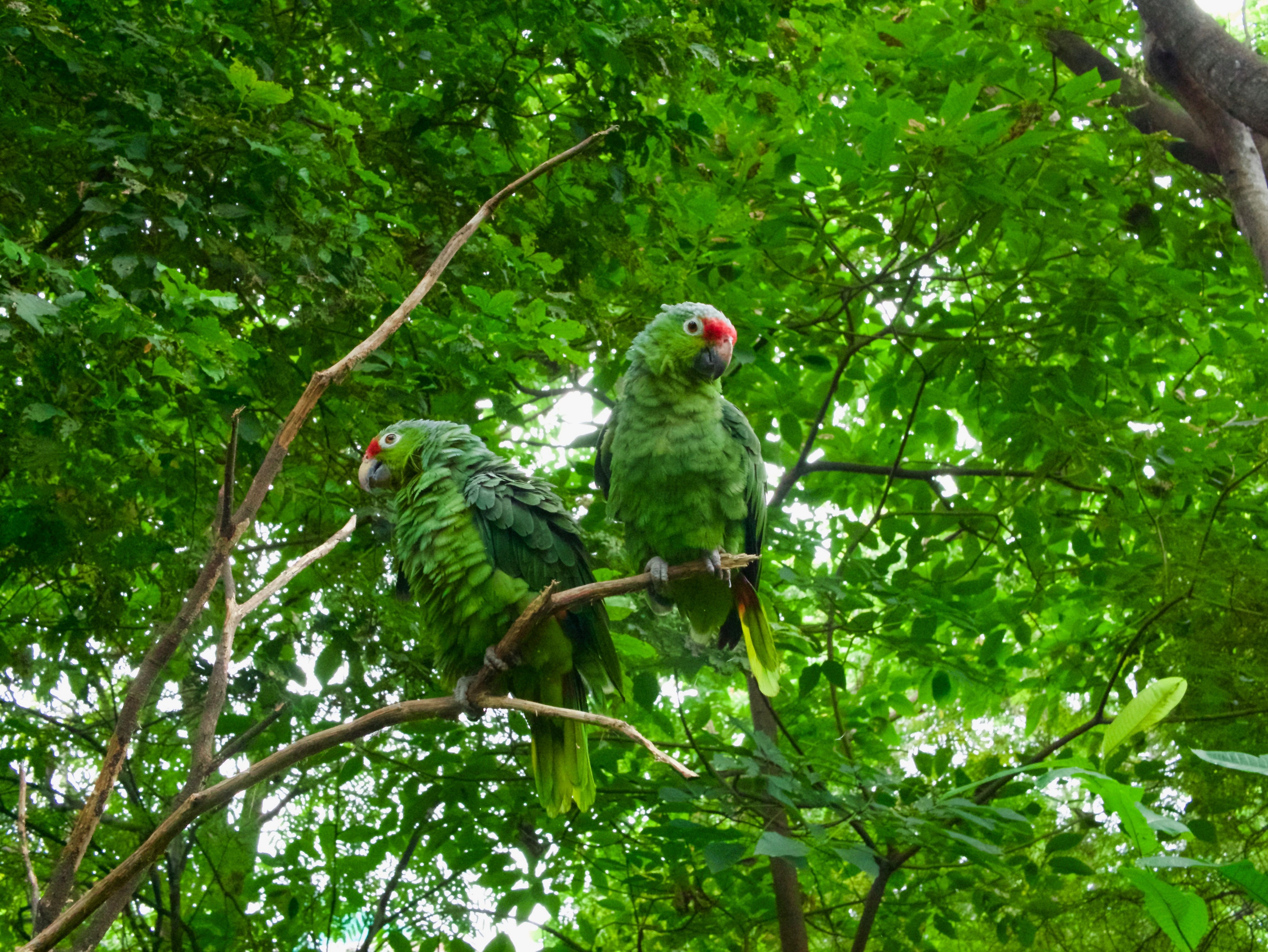 Ecuador Kreuzfahrten