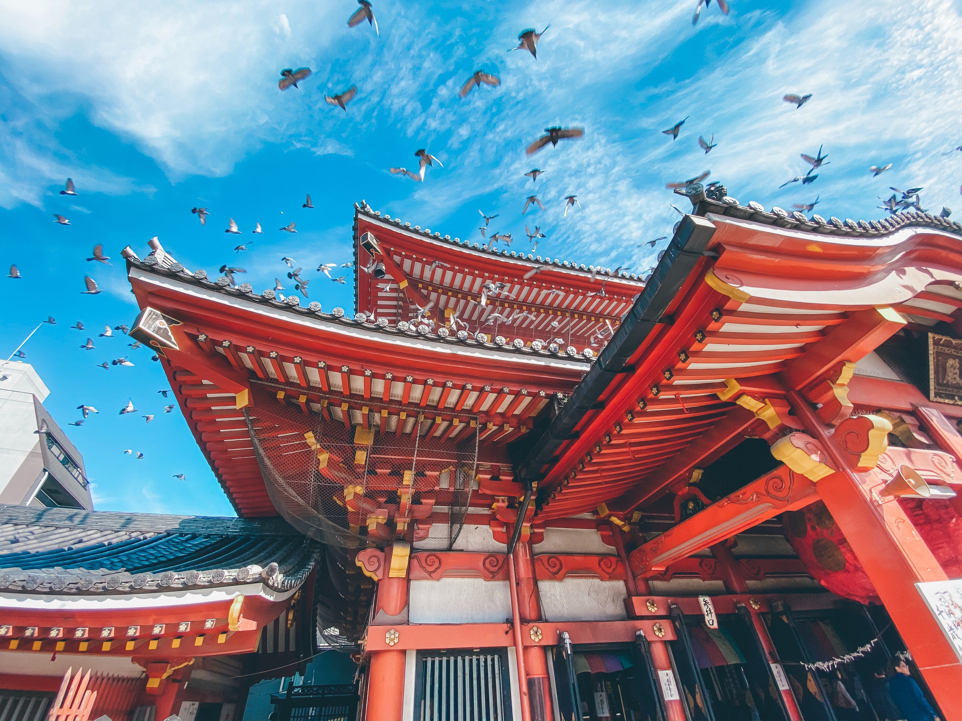 Japan Kreuzfahrten