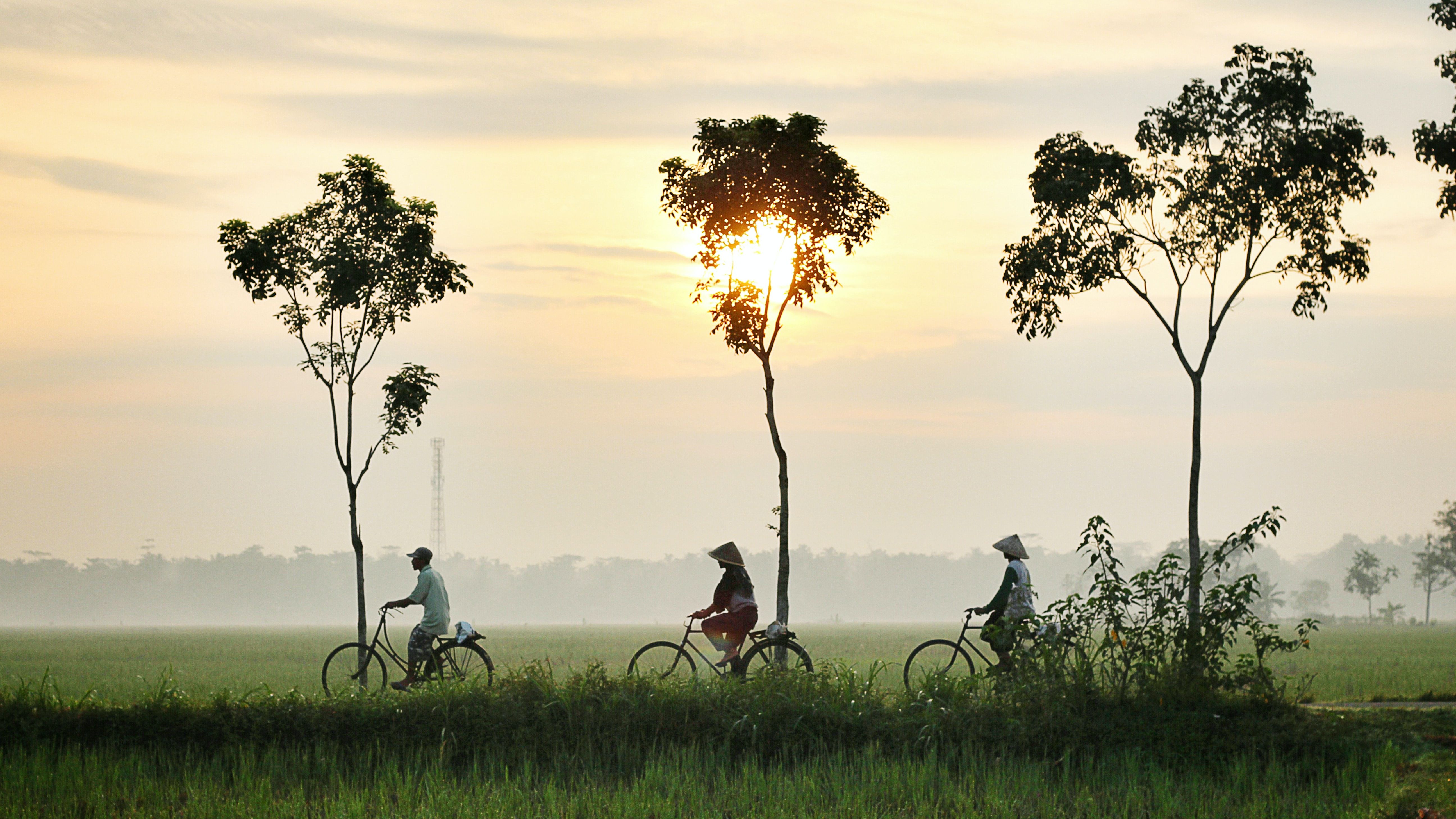Indonesien Kreuzfahrten