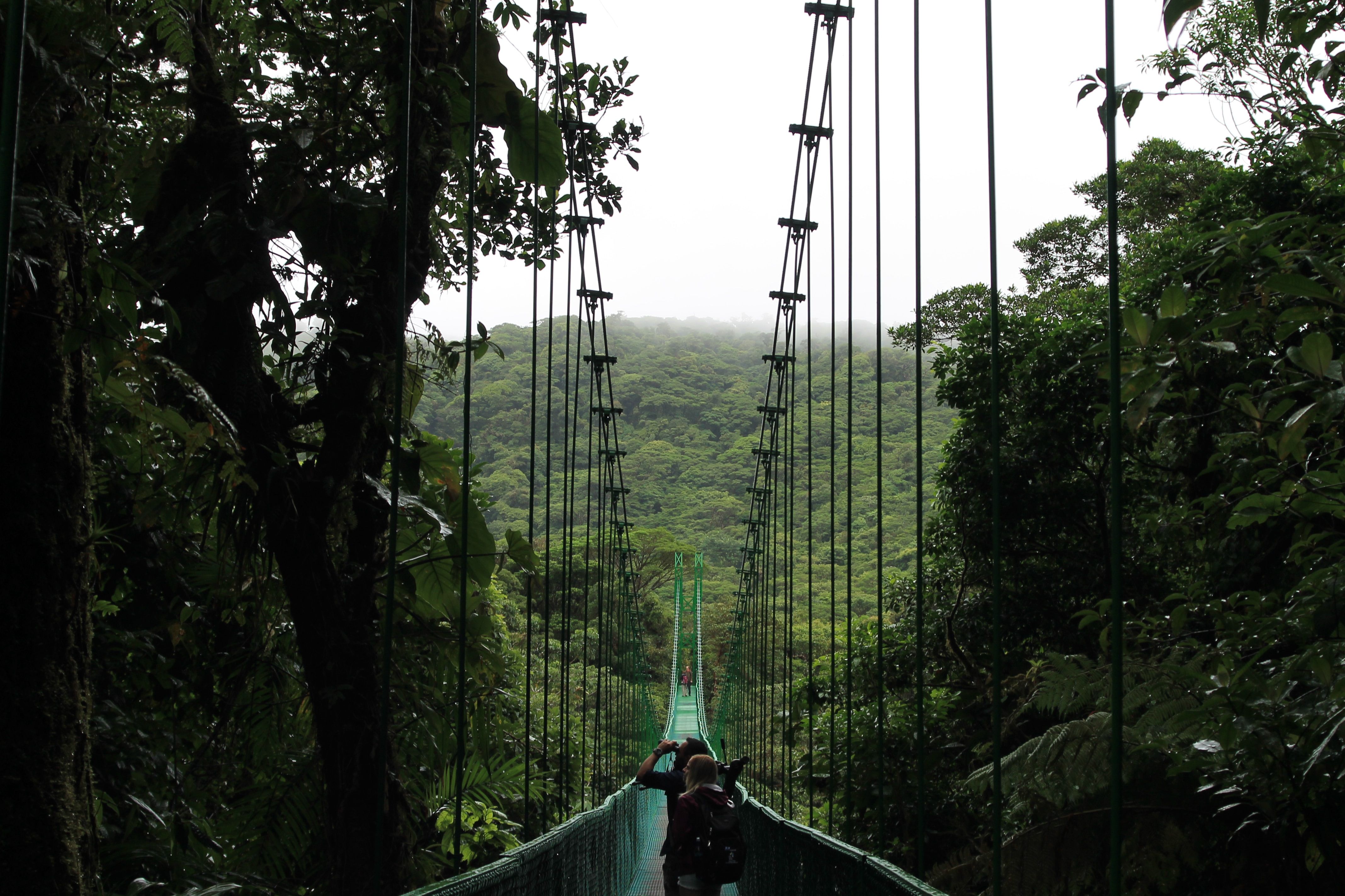 Monteverde-Nebelwaldreservat Kreuzfahrten