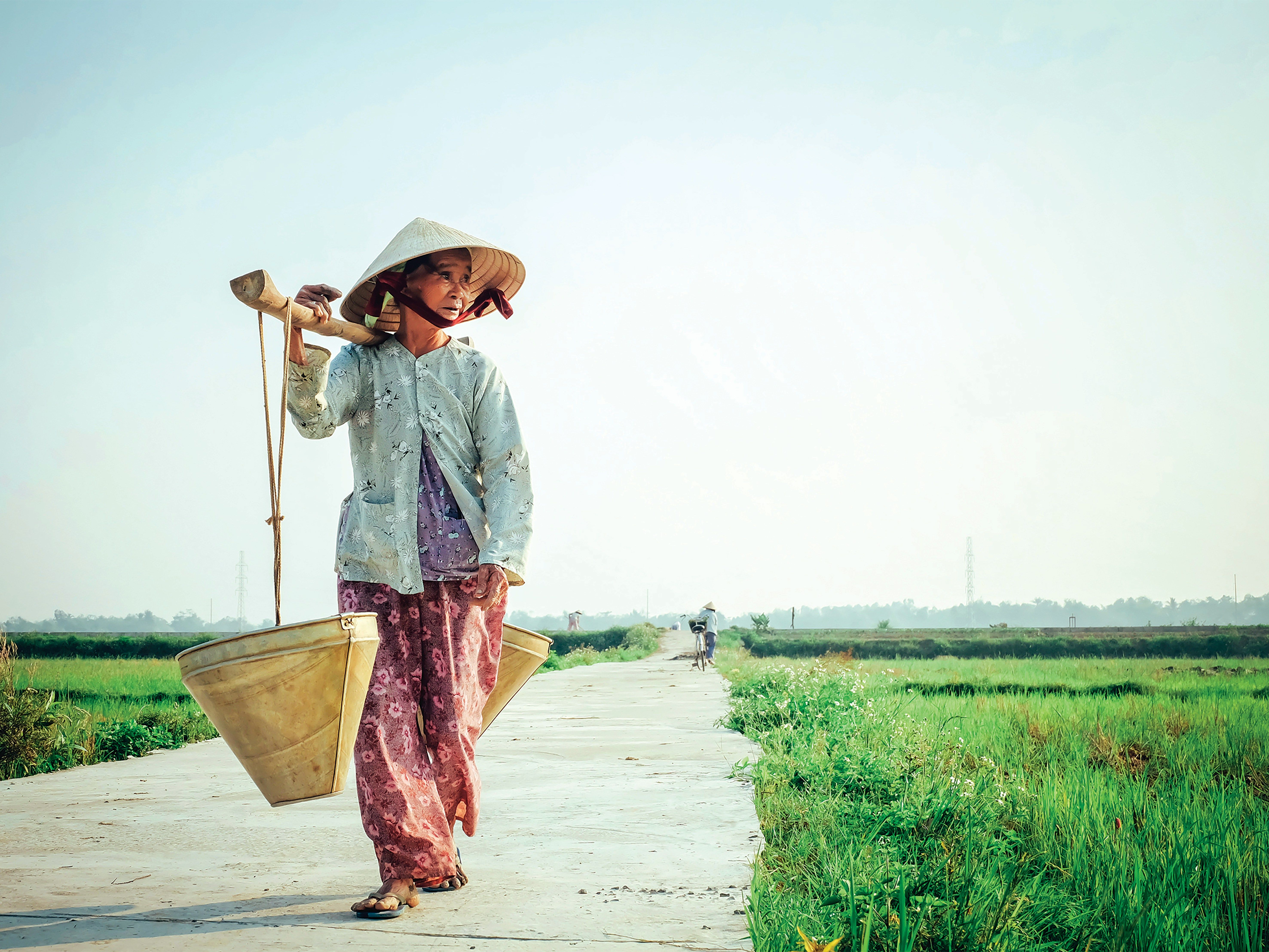 Vietnam Kreuzfahrten