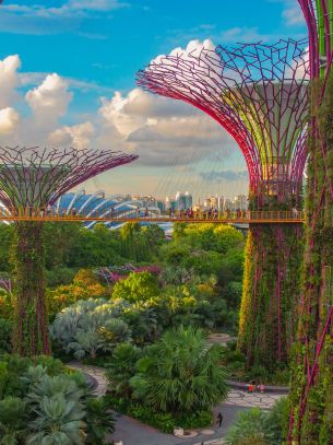 Singapur Kreuzfahrten