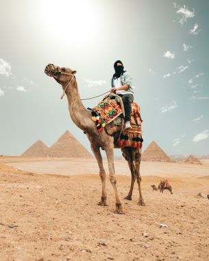 Ägypten Kreuzfahrten
