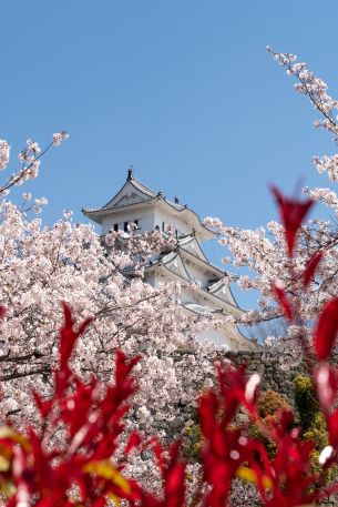 Japan Kreuzfahrten