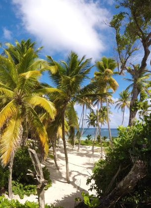 Dominica-Kreuzfahrten