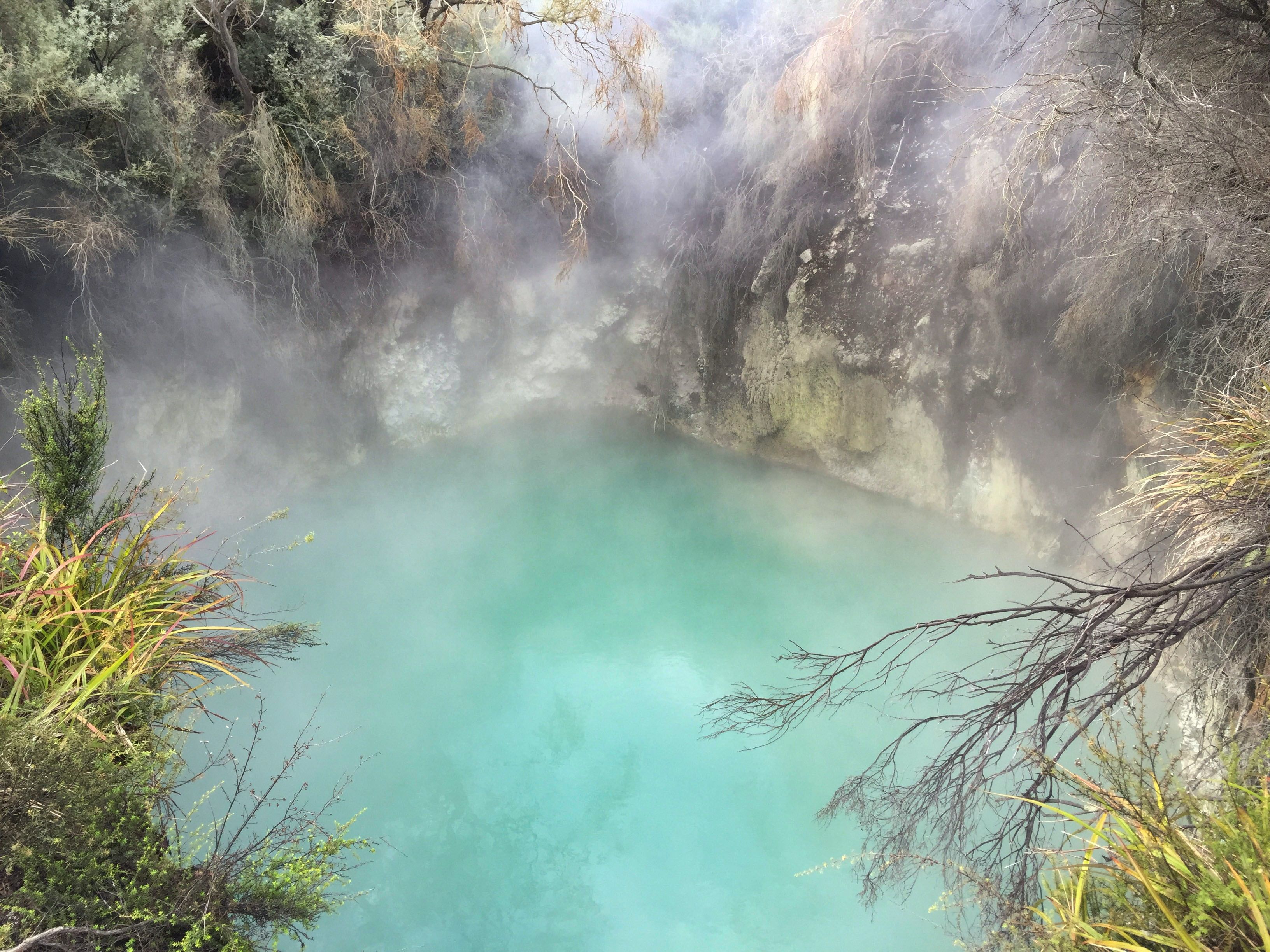 Neuseeland Kreuzfahrten