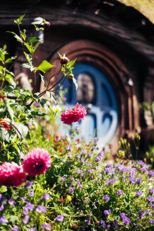 Neuseeland Kreuzfahrten