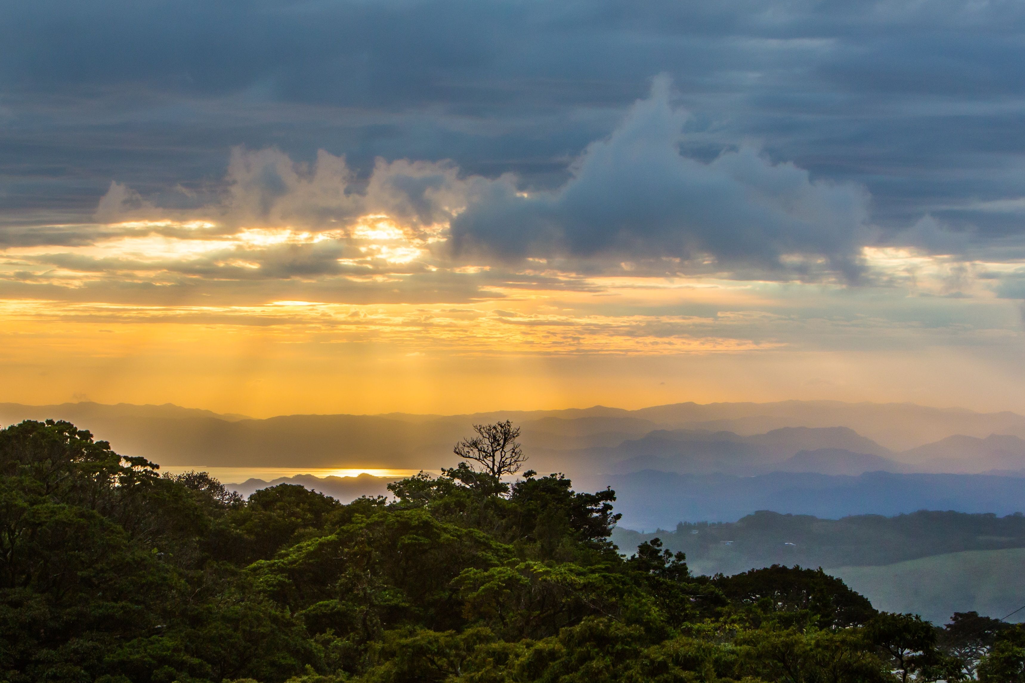 Monteverde-Nebelwaldreservat Kreuzfahrten