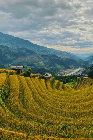 Vietnam kreuzfahrten