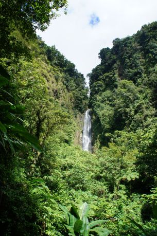 Dominica-Kreuzfahrten