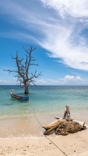 Barbados Kreuzfahrten