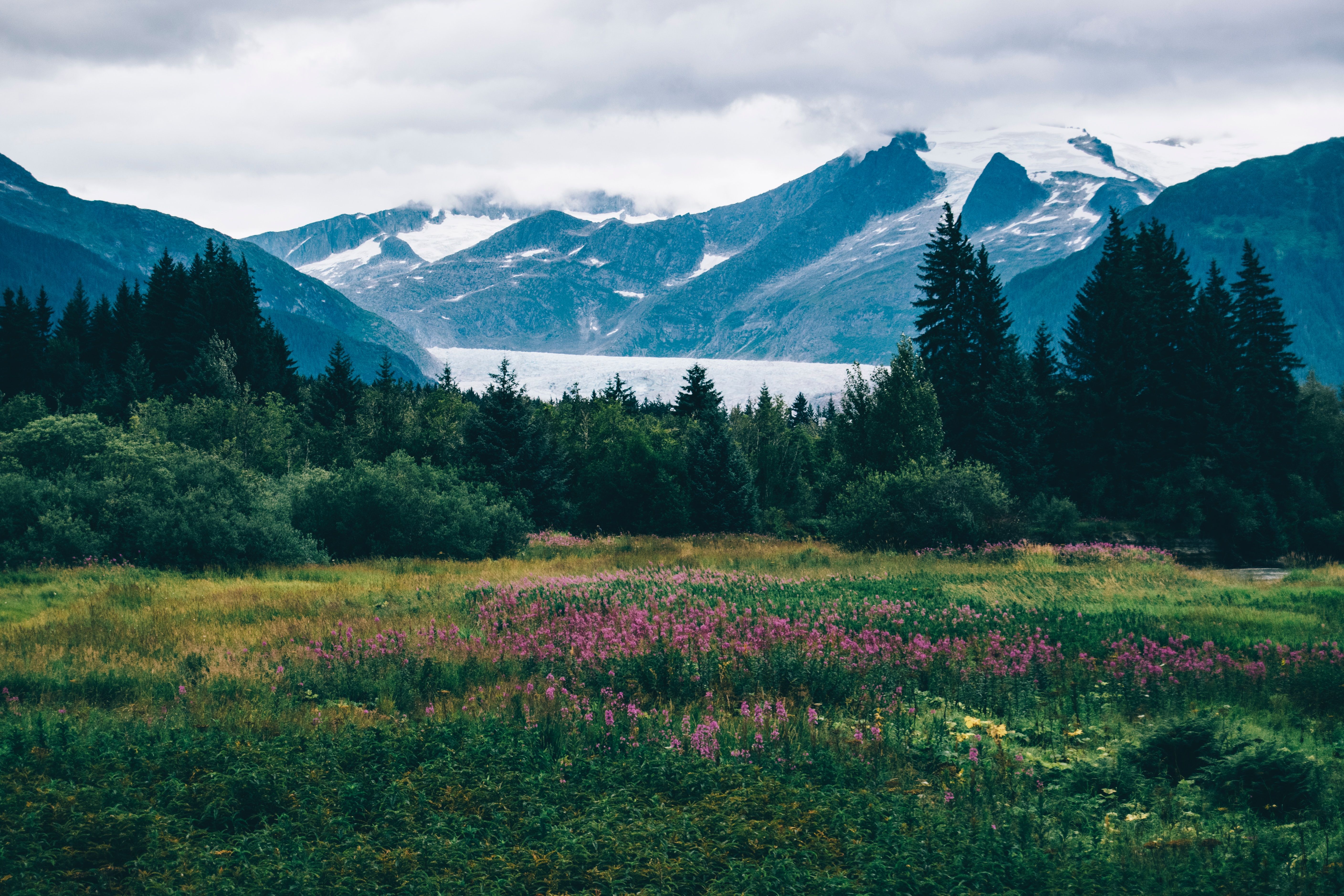 Alaska Kreuzfahrten