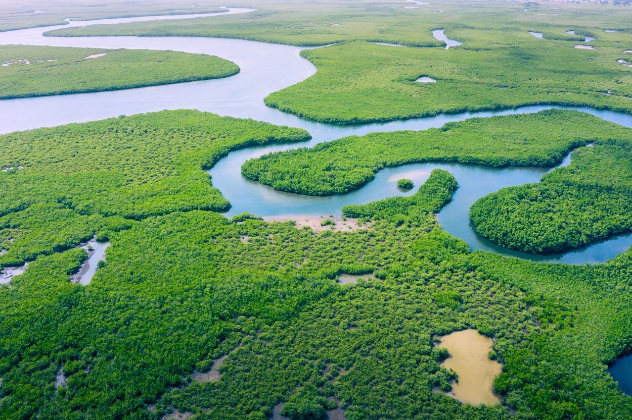 Amazonas Expeditionen